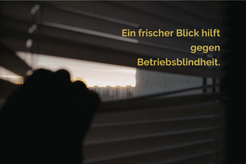 Blick durch halb geöffnete Jalousien auf eine Stadtansicht im Abendlicht mit dem Text „Ein frischer Blick hilft gegen Betriebsblindheit.“